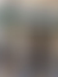 Livraria e Edições Folha Seca!