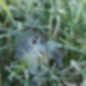 DSCF6984.JPG