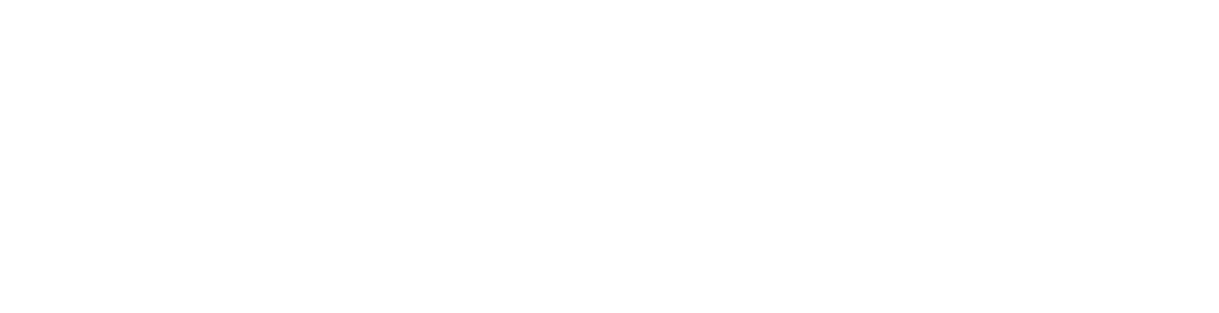 CTHz-logo-white.png