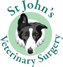 st-johns-logo.gif