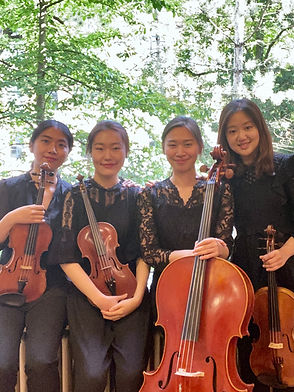 Albero Quartet