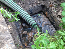 Septic tank problems
