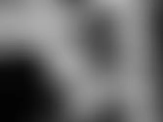 The Unsung Heroes: The Role of HR in Crisis Management