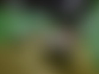 On/OFF Exhibit gives feel-good retro experience- literally and figuratively