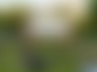 Film At The Fort returns with Films, Food & Drinks for a Great Date Night