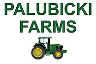 paulibicki banner.jpg