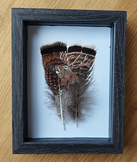 Feather painting