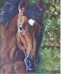 Horse, Pet portrait