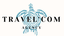 Nouveau logo Travel'Com.png