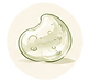 gels.png
