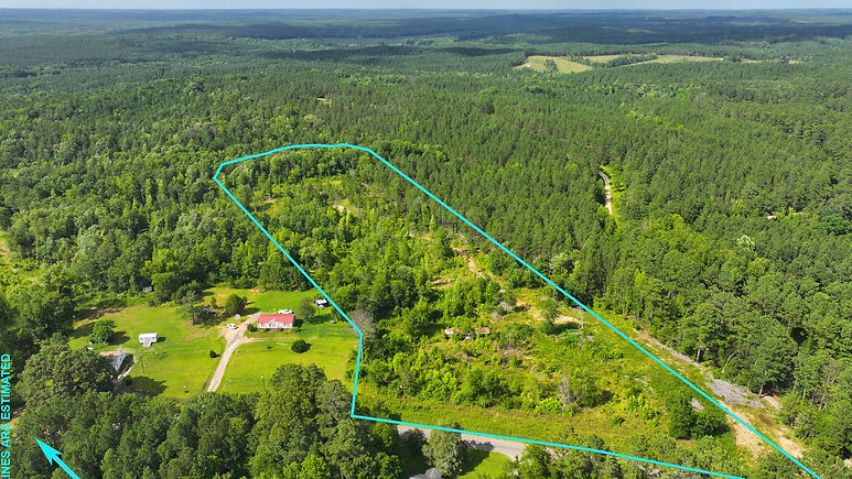 LOOKING NE WITH BOUNDARY LINES.jpg