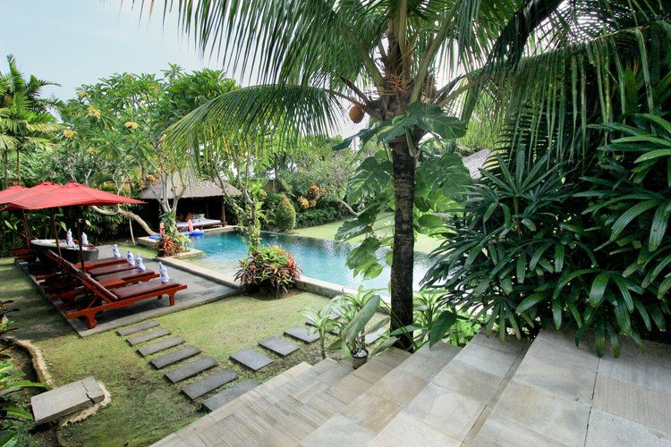 Thumbnail: Bali Conservation & Culture Experience for 10