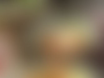 This Little Pig Went To The Market