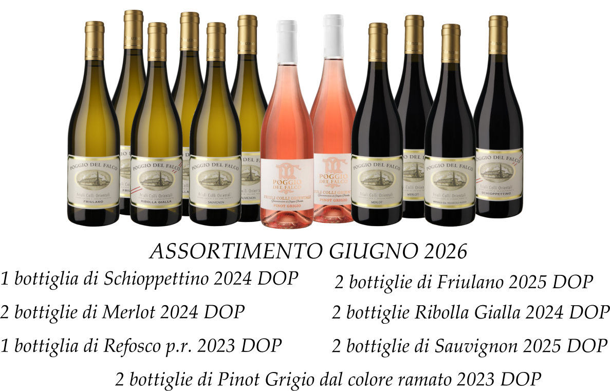 12 BOTTIGLIE ASSORTITE: GIUGNO 2026