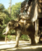 1978 mamie alaska 03