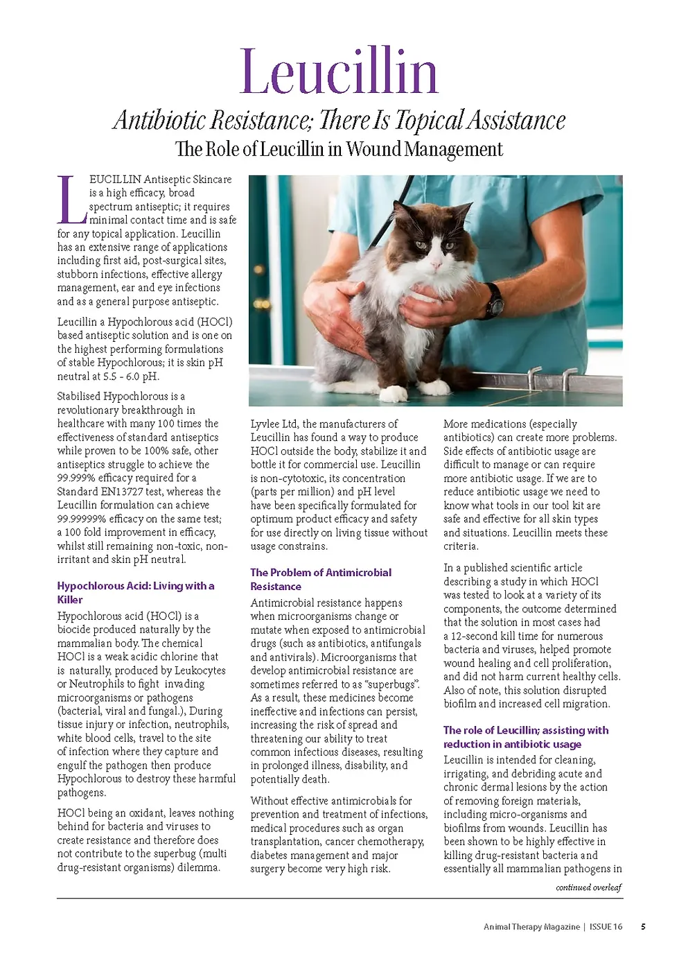 Thumbnail: Leucillin Anticeptic Spray
