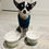 Thumbnail: Petio Raised Ceramic Pet Bowl with Pattern