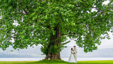 Hedvig + Petter | Sommerbryllup ved Strandhytta på Brøttum
