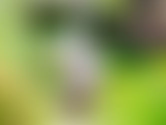 Remember the Good Stuff