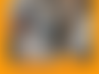 Nuevo Tamizaje Pre-Natal No Invasivo