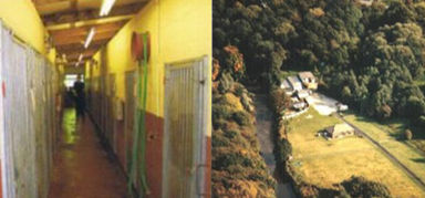 riverside kennels outside and inside photos