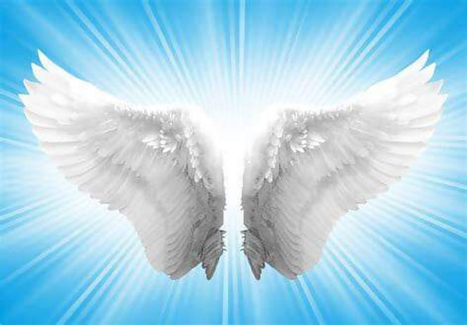 angel wings