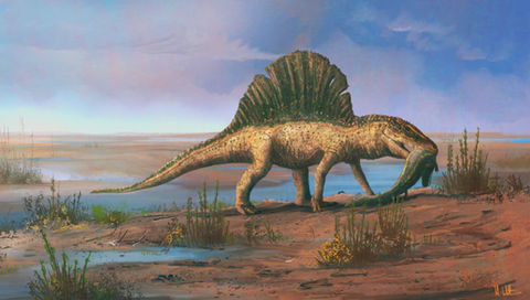 Arizonasaurus © Witton 2021 low res.jpg