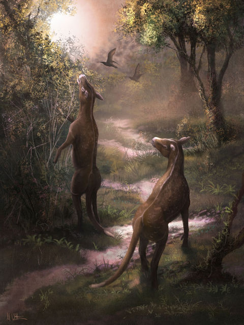 Anoplotherium © Witton 2019 low res.jpg