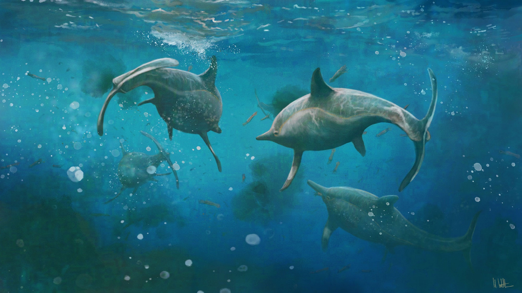 Ichthyosaurus communis (2021)