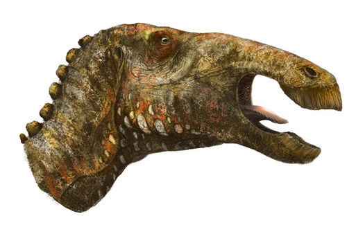 Edmontosaurus face Witton 2020 low res.jpg