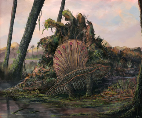 Platyhystrix Witton 2017 low res.jpg