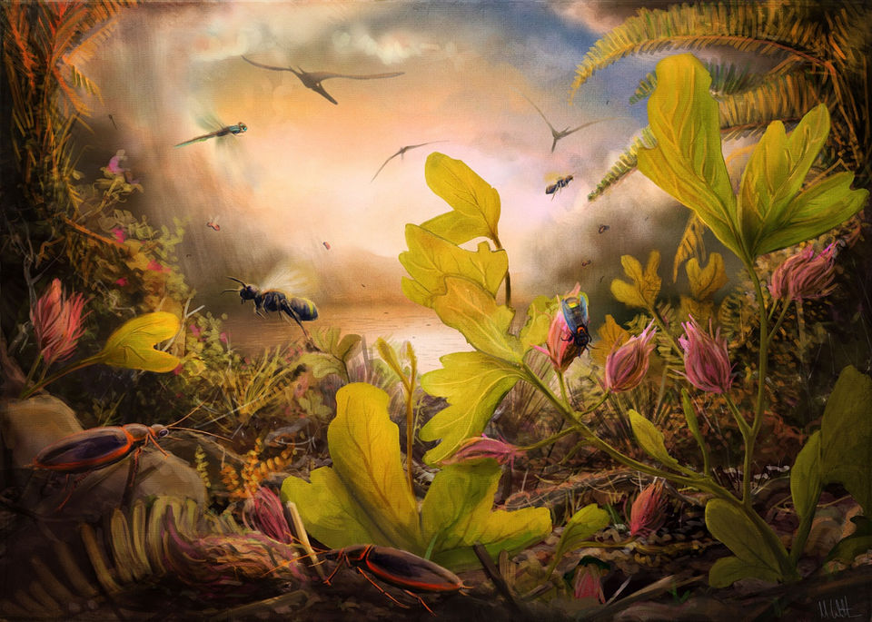 Crato Witton 2017 web res.jpg