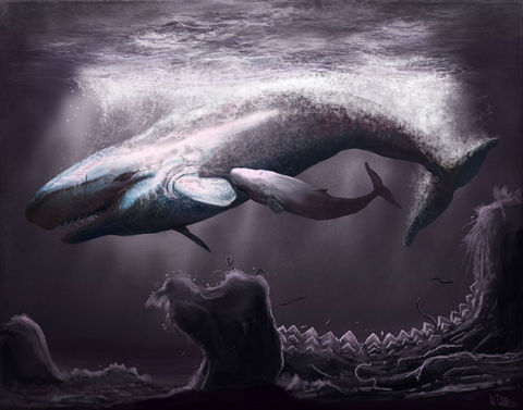 Livyatan Witton 2017 low res.jpg