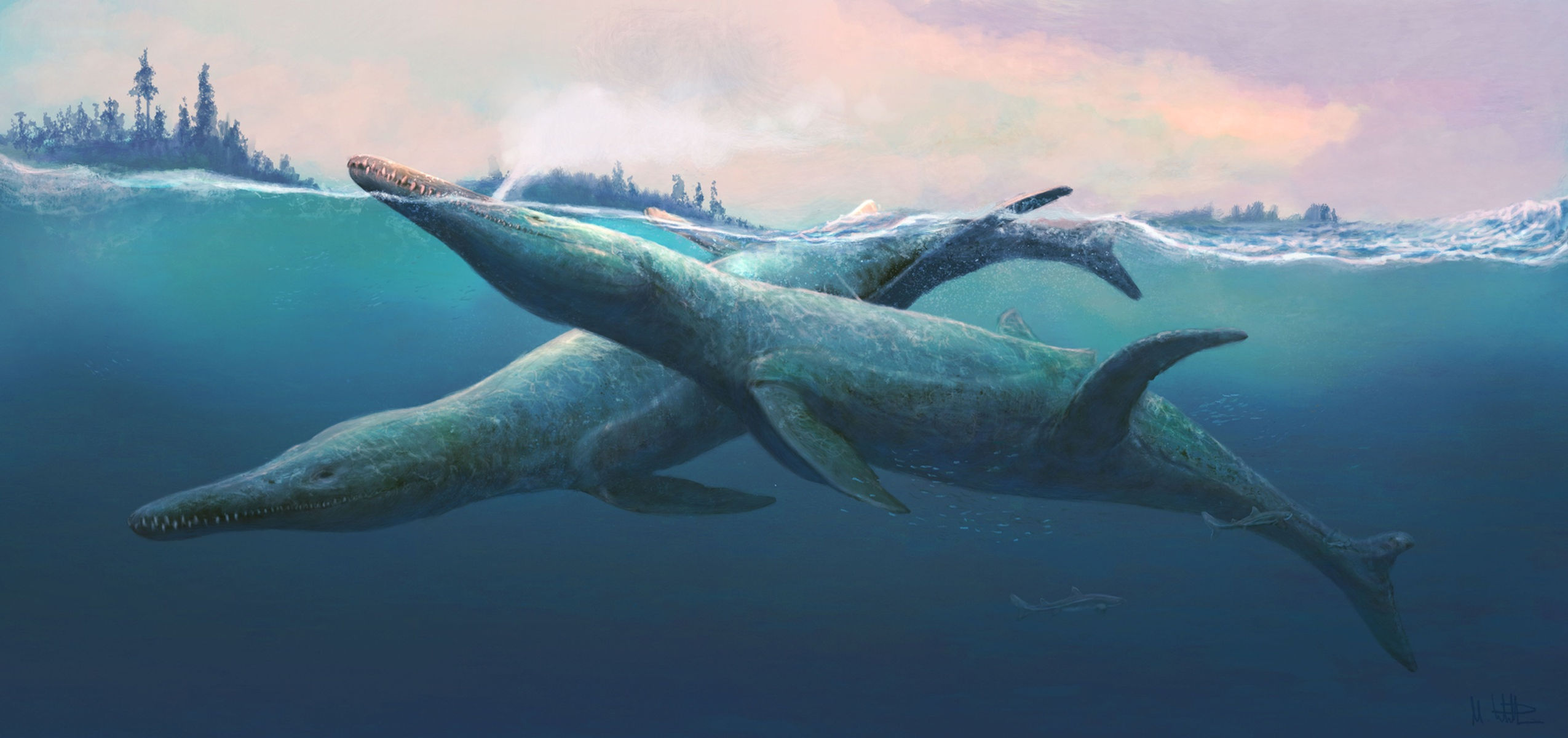 Kronosaurus queenslandicus (2026)
