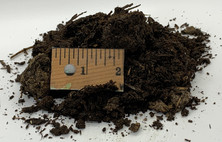 Mushroom Compost