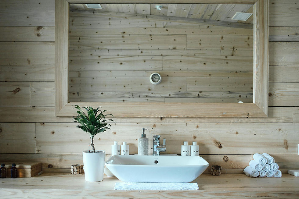 Wooden bathroom with large mirror, white sink, potted plant, and rolls of towels.
