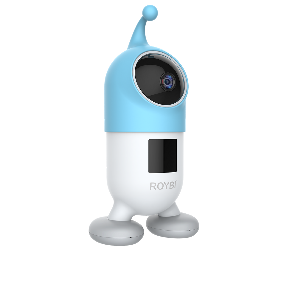 ROYBI, THE ROBOT THAT TEACHES LANGUAGES