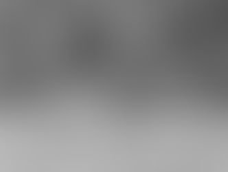 Learn about Dhole, Indian Wild Dog