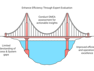 Organizational Maturity Model