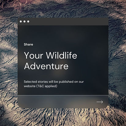Share your wildlife story