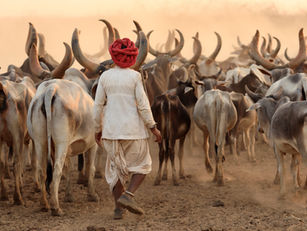 Pushkar Mela, Confluence of Colour and Culture