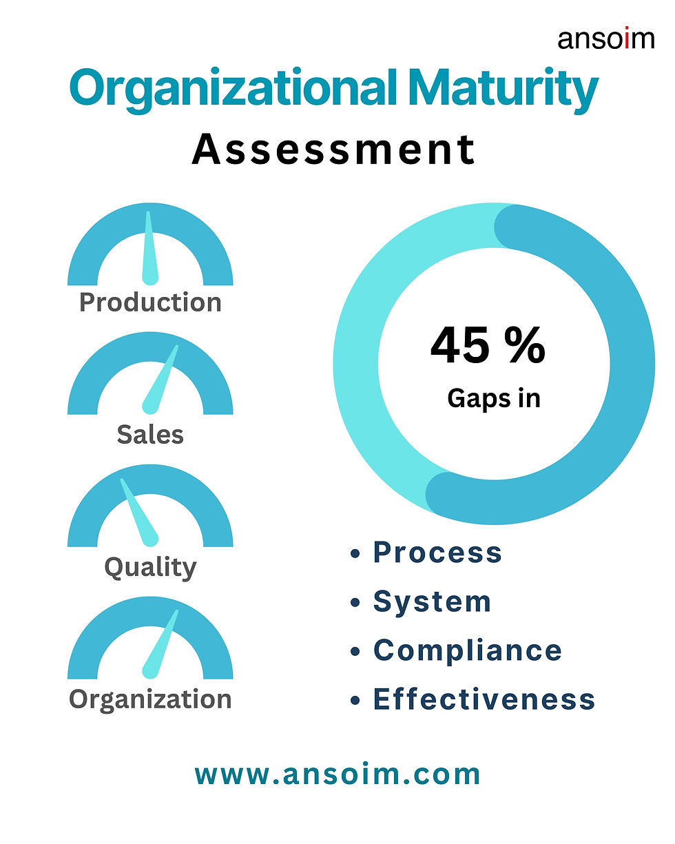 Organisational Maturity Assessment in Chemical Industry