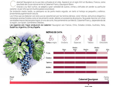 Brasas English Course Book 1 Download [EXCLUSIVE]