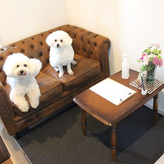 海老名　トリミング