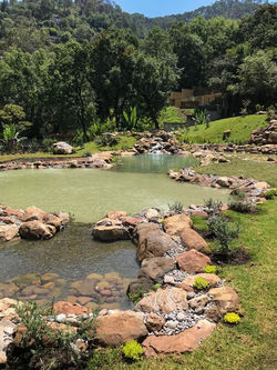 Albercas naturales, Floriade SMA