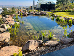 A Floriade Leon 03 26 23aa