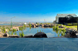 A Floriade Leon 03 26 23cc