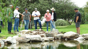 ¿Te interesa Aprender como Construir Estanques y Cascadas Naturales Para Transformar Jardines?  