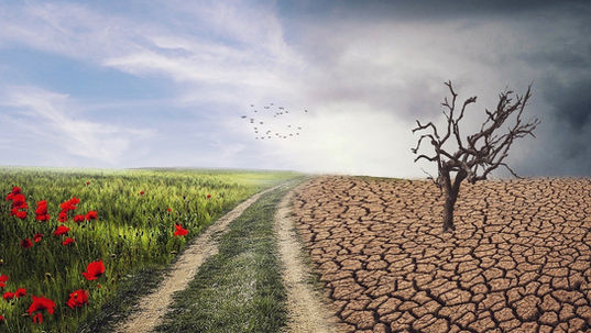 The Two-Fold Nature of the Future Day of the Lord