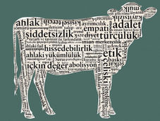 Veganlığı Anlamak: Hayvanların Ahlaki Değeri